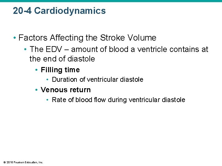 20 -4 Cardiodynamics • Factors Affecting the Stroke Volume • The EDV – amount