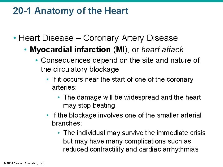 20 -1 Anatomy of the Heart • Heart Disease – Coronary Artery Disease •