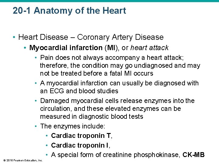 20 -1 Anatomy of the Heart • Heart Disease – Coronary Artery Disease •