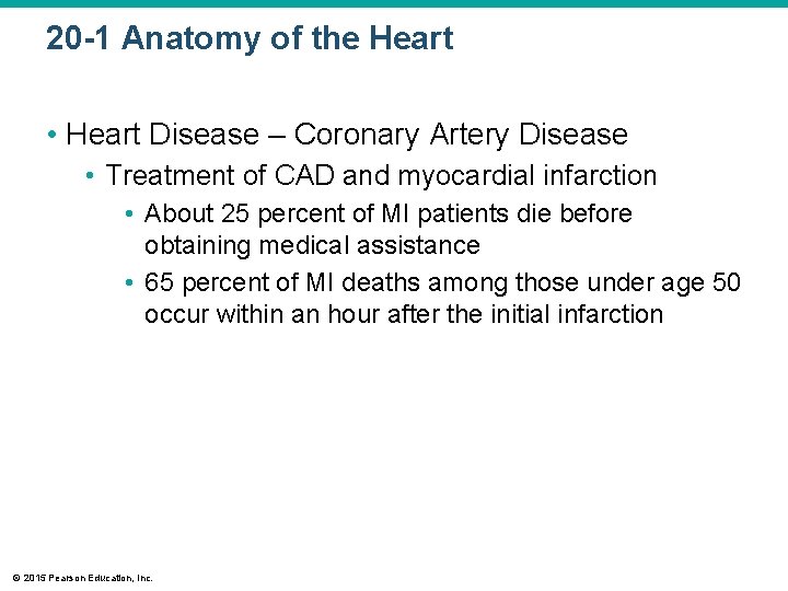 20 -1 Anatomy of the Heart • Heart Disease – Coronary Artery Disease •