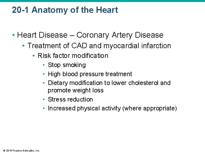 20 -1 Anatomy of the Heart • Heart Disease – Coronary Artery Disease •