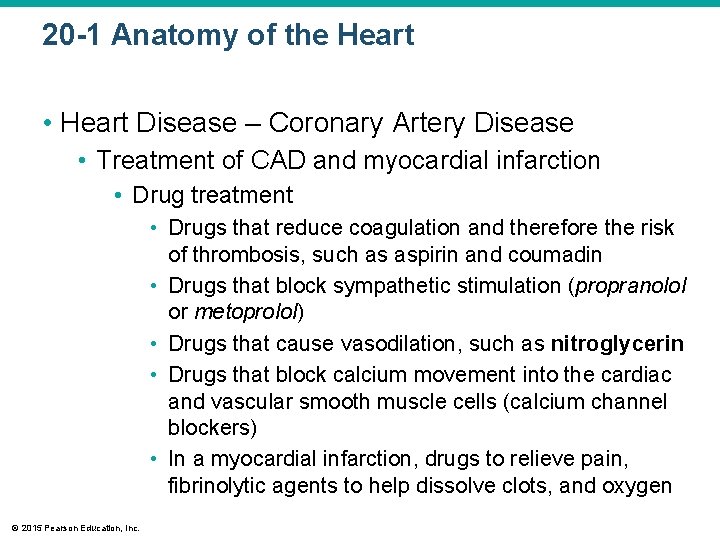 20 -1 Anatomy of the Heart • Heart Disease – Coronary Artery Disease •