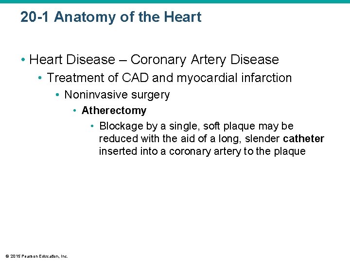 20 -1 Anatomy of the Heart • Heart Disease – Coronary Artery Disease •
