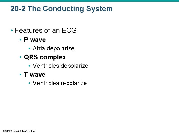 20 -2 The Conducting System • Features of an ECG • P wave •