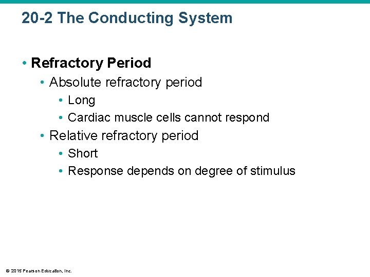 20 -2 The Conducting System • Refractory Period • Absolute refractory period • Long