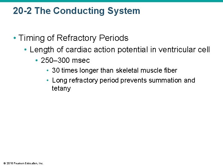 20 -2 The Conducting System • Timing of Refractory Periods • Length of cardiac