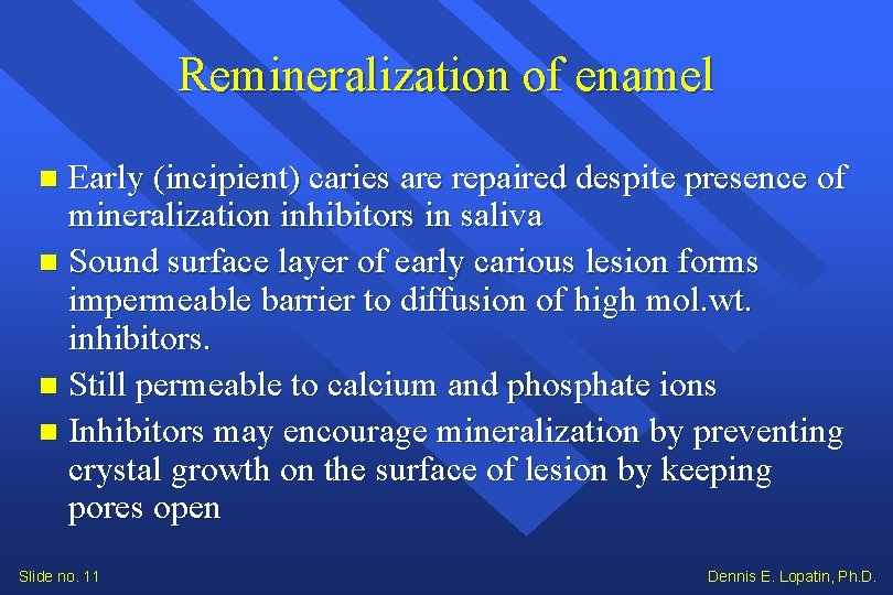 Remineralization of enamel Early (incipient) caries are repaired despite presence of mineralization inhibitors in Remineralization of enamel Early (incipient) caries are repaired despite presence of mineralization inhibitors in