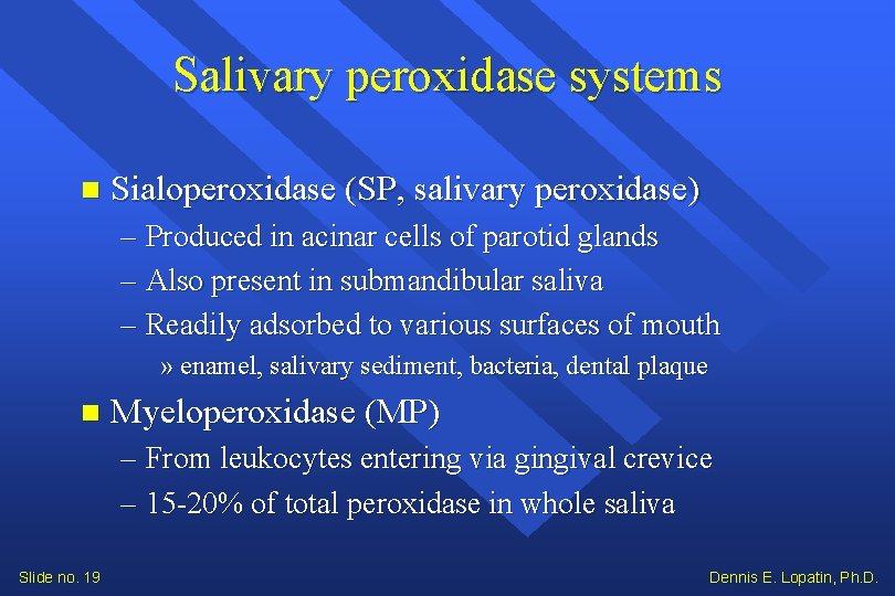 Salivary peroxidase systems Sialoperoxidase (SP, salivary peroxidase) – Produced in acinar cells of parotid Salivary peroxidase systems Sialoperoxidase (SP, salivary peroxidase) – Produced in acinar cells of parotid