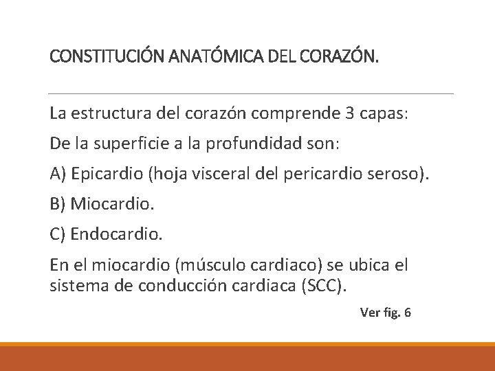 CONSTITUCIÓN ANATÓMICA DEL CORAZÓN. La estructura del corazón comprende 3 capas: De la superficie