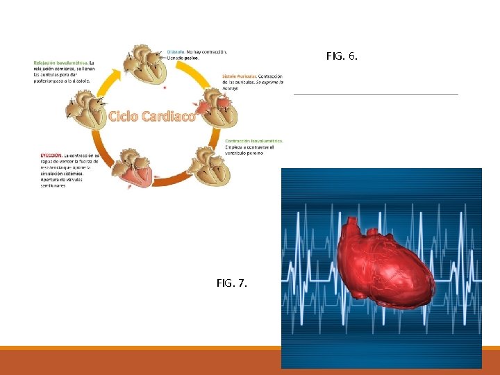 FIG. 6. FIG. 7. 