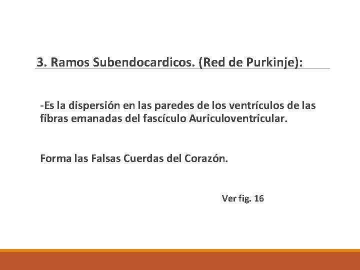 3. Ramos Subendocardicos. (Red de Purkinje): -Es la dispersión en las paredes de los