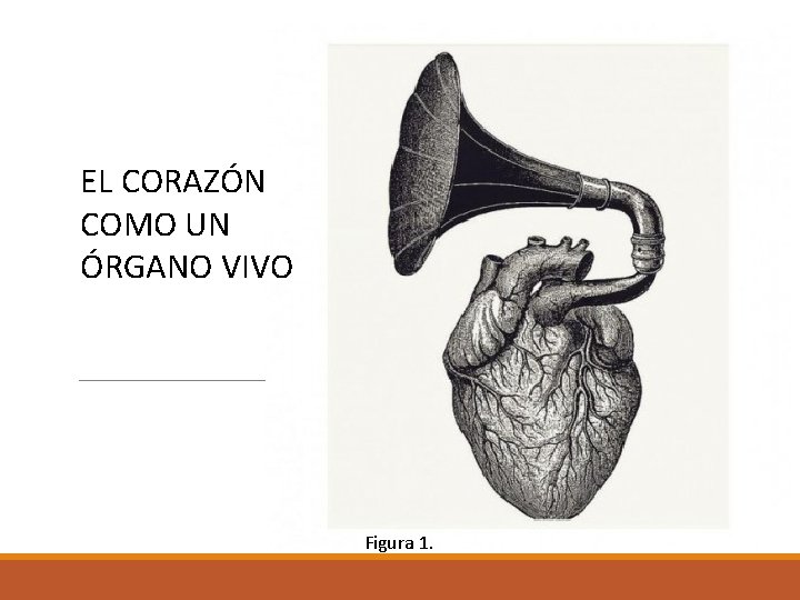 EL CORAZÓN COMO UN ÓRGANO VIVO Figura 1. 