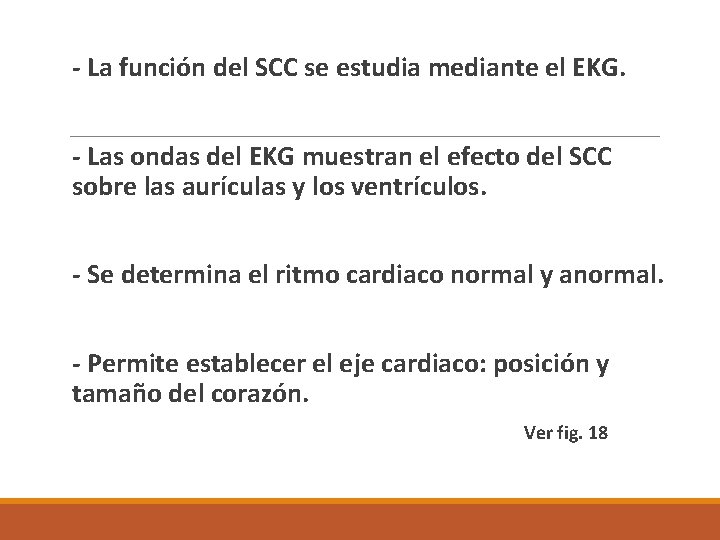  - La función del SCC se estudia mediante el EKG. - Las ondas