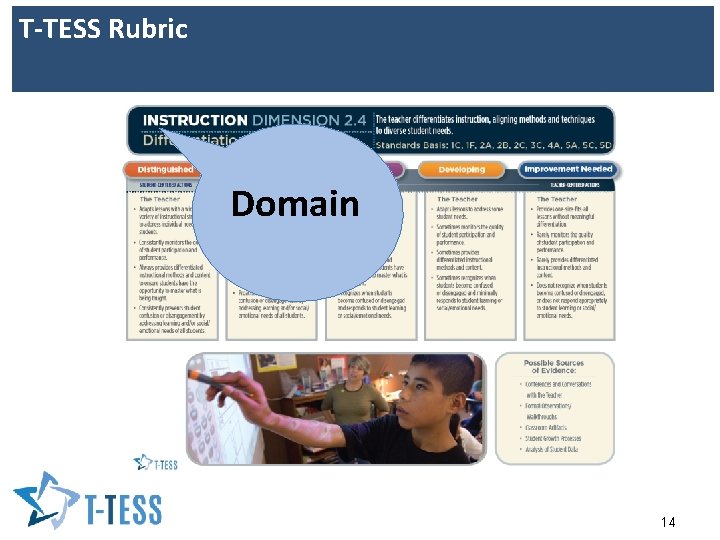 T-TESS Rubric Domain 14 