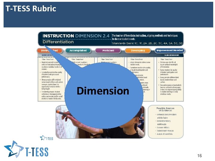 T-TESS Rubric Dimension 16 