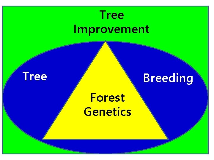 Tree Improvement Tree Breeding Forest Genetics 