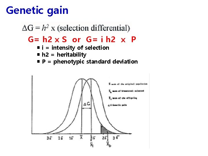 Genetic gain G= h 2 x S or G= i h 2 x P