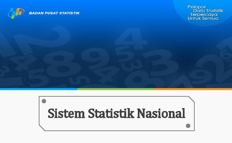 Sistem Statistik Nasional 