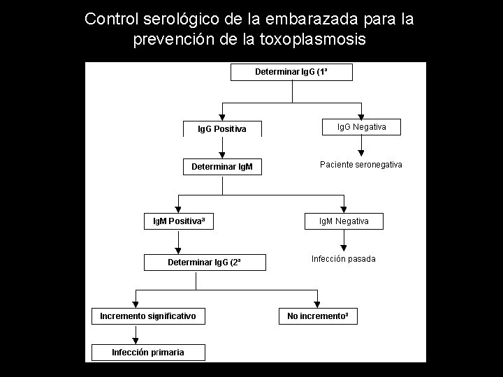 Control serológico de la embarazada para la prevención de la toxoplasmosis 