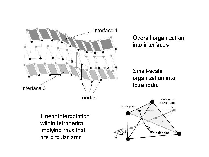 Overall organization into interfaces Small-scale organization into tetrahedra Linear interpolation within tetrahedra implying rays
