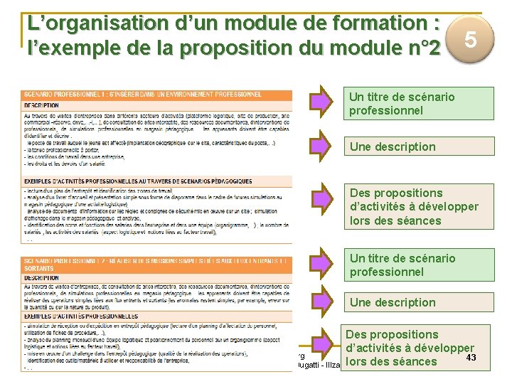 L’organisation d’un module de formation : l’exemple de la proposition du module n° 2