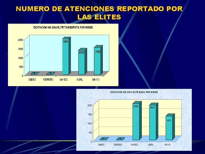 NUMERO DE ATENCIONES REPORTADO POR LAS ELITES 