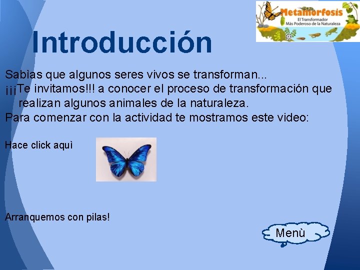 Introducción Sabìas que algunos seres vivos se transforman. . . ¡¡¡Te invitamos!!! a conocer Introducción Sabìas que algunos seres vivos se transforman. . . ¡¡¡Te invitamos!!! a conocer