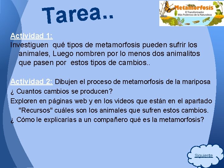 . . a e r Ta Actividad 1: Investiguen qué tipos de metamorfosis pueden . . a e r Ta Actividad 1: Investiguen qué tipos de metamorfosis pueden