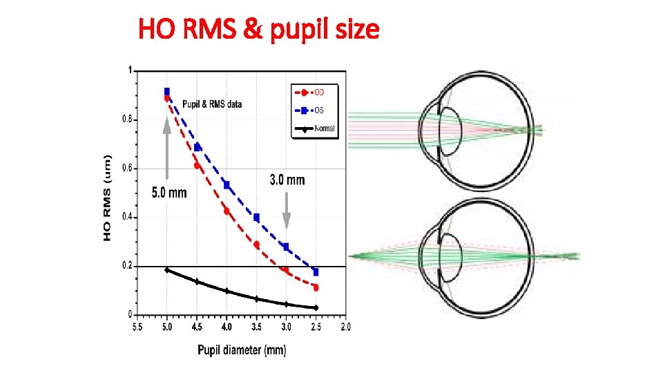 HO RMS & pupil size 