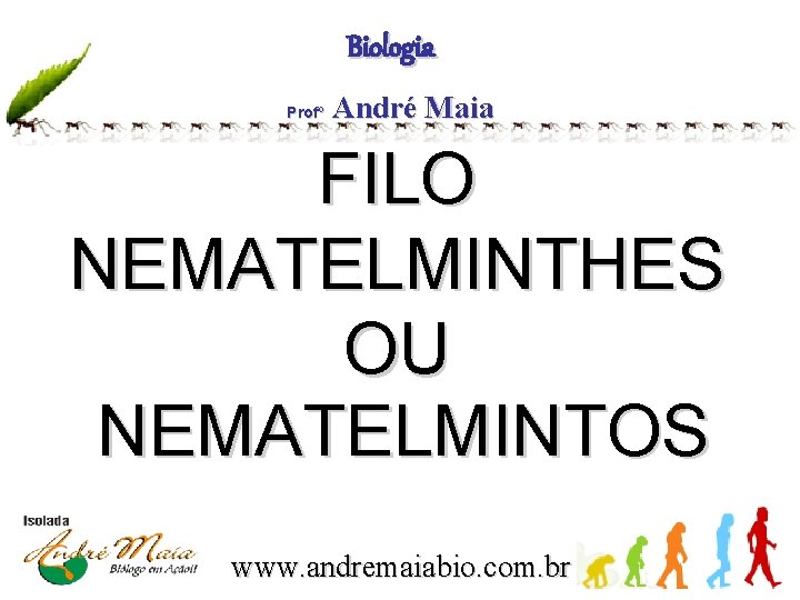 Biologia Profº André Maia FILO NEMATELMINTHES OU NEMATELMINTOS www. andremaiabio. com. br 