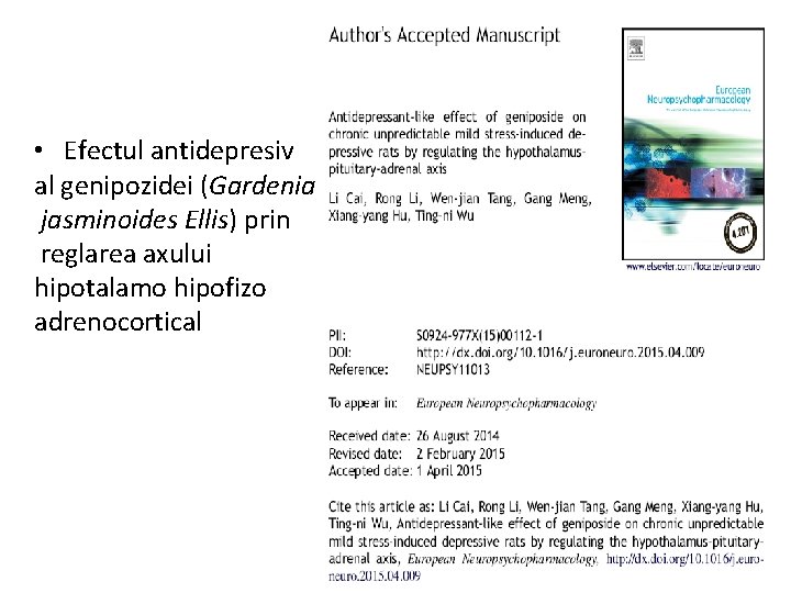 Sindromul depresiv • Efectul antidepresiv al genipozidei (Gardenia jasminoides Ellis) prin reglarea axului hipotalamo