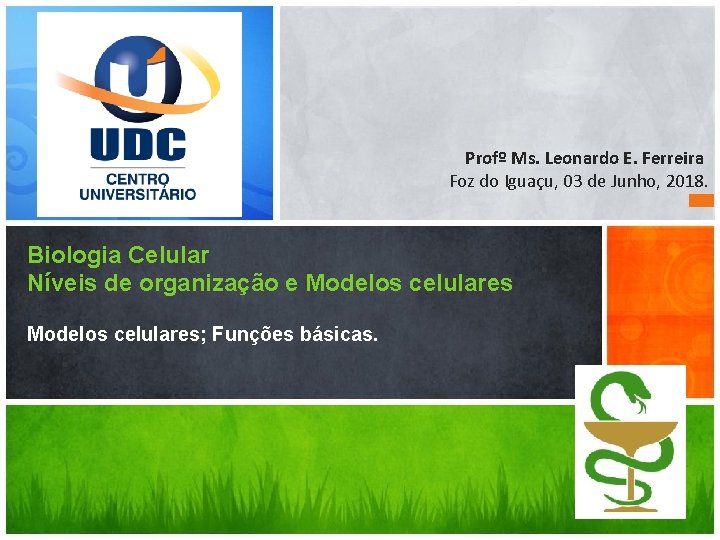 Profº Ms. Leonardo E. Ferreira Foz do Iguaçu, 03 de Junho, 2018. Biologia Celular