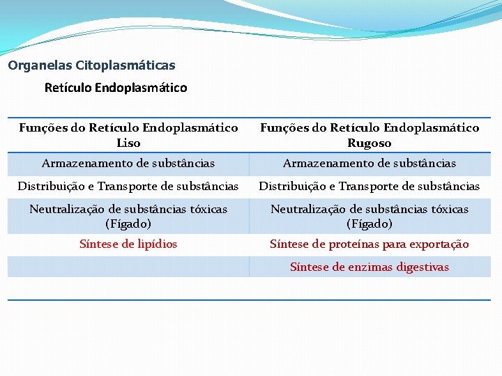 Organelas Citoplasmáticas Retículo Endoplasmático Funções do Retículo Endoplasmático Liso Funções do Retículo Endoplasmático Rugoso