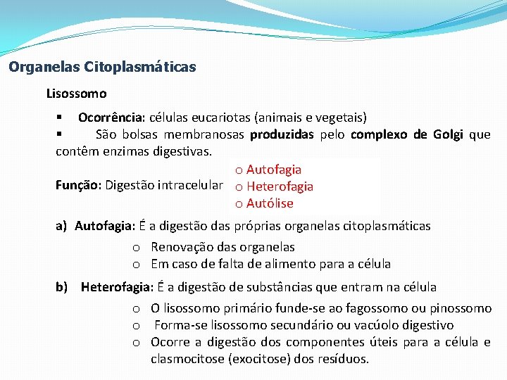 Organelas Citoplasmáticas Lisossomo § Ocorrência: células eucariotas (animais e vegetais) § São bolsas membranosas