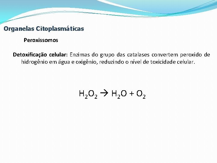 Organelas Citoplasmáticas Peroxissomos Detoxificação celular: Enzimas do grupo das catalases convertem peroxido de hidrogênio