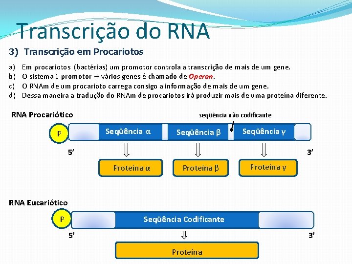 Transcrição do RNA 3) Transcrição em Procariotos a) b) c) d) Em procariotos (bactérias)