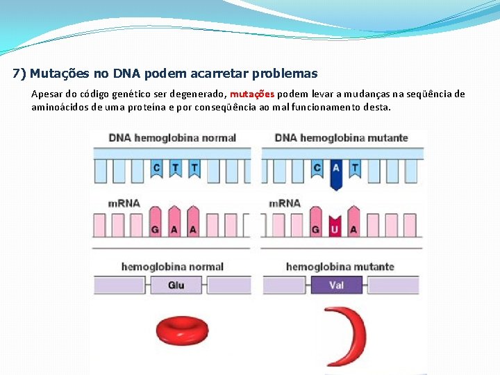 7) Mutações no DNA podem acarretar problemas Apesar do código genético ser degenerado, mutações