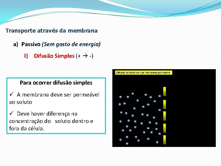 Transporte através da membrana a) Passivo (Sem gasto de energia) I) Difusão Simples (+