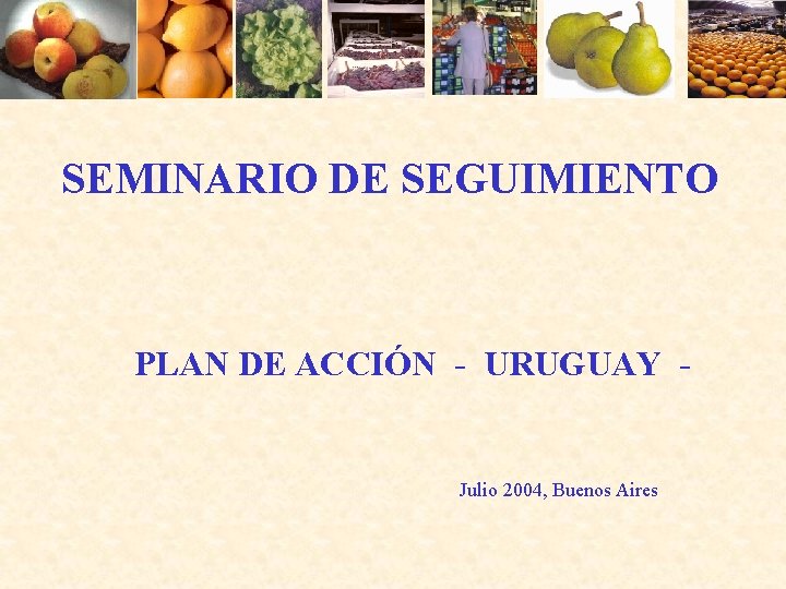 SEMINARIO DE SEGUIMIENTO PLAN DE ACCIÓN - URUGUAY - Julio 2004, Buenos Aires 