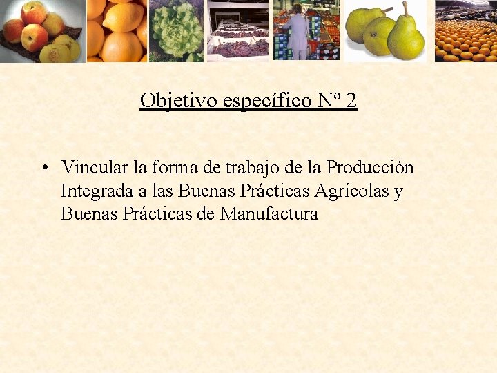 Objetivo específico Nº 2 • Vincular la forma de trabajo de la Producción Integrada