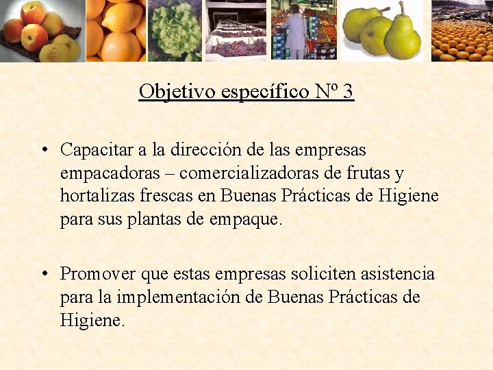 Objetivo específico Nº 3 • Capacitar a la dirección de las empresas empacadoras –