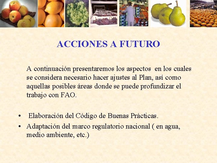 ACCIONES A FUTURO A continuación presentaremos los aspectos en los cuales se considera necesario