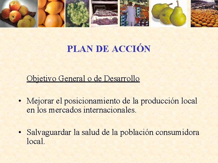 PLAN DE ACCIÓN Objetivo General o de Desarrollo • Mejorar el posicionamiento de la