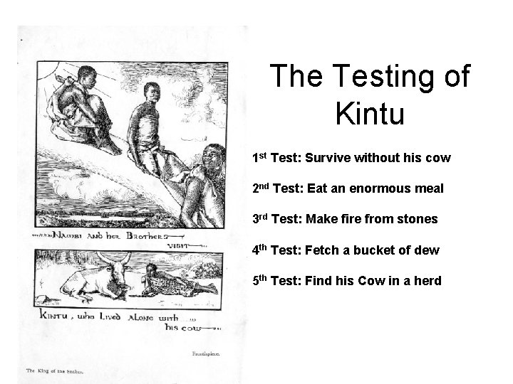 The Testing of Kintu 1 st Test: Survive without his cow 2 nd Test: