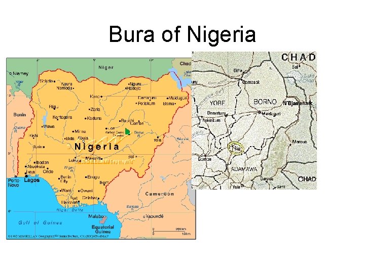 Bura of Nigeria 