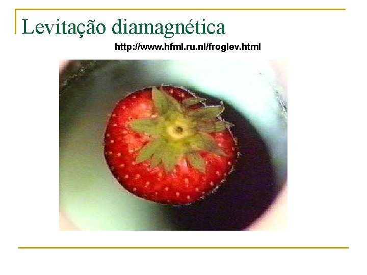 Levitação diamagnética http: //www. hfml. ru. nl/froglev. html 