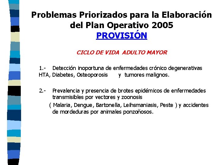 Problemas Priorizados para la Elaboración del Plan Operativo 2005 PROVISIÓN CICLO DE VIDA ADULTO