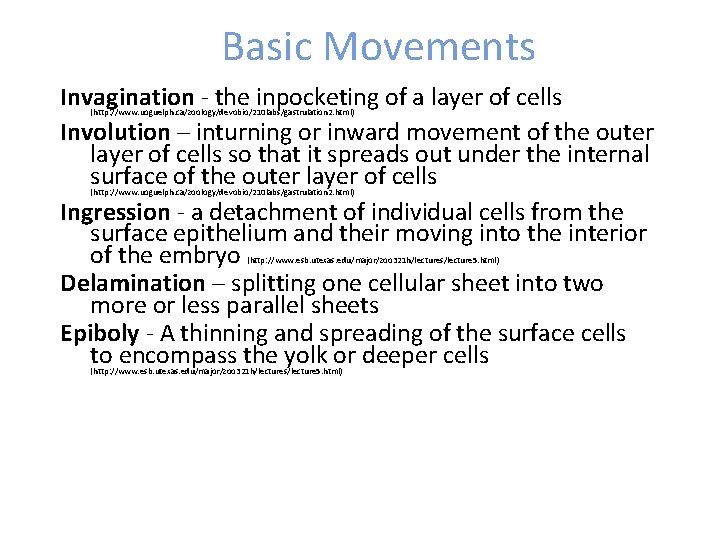 MORFOLOGIA ANIMAL COMPARADA MORFOLOGIA En biologa morfologa es