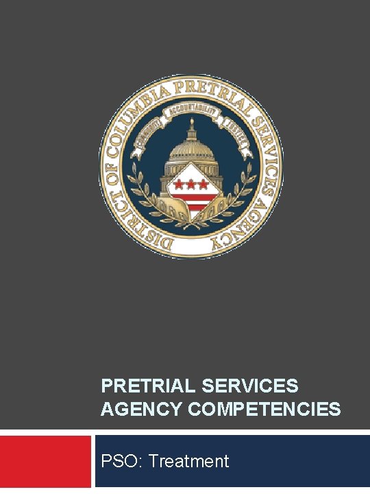 PRETRIAL SERVICES AGENCY COMPETENCIES PSO: Treatment 