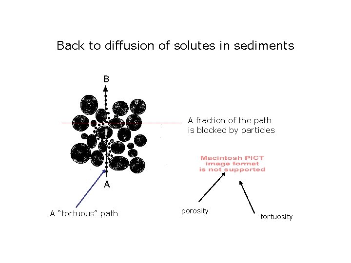 Back to diffusion of solutes in sediments A fraction of the path is blocked Back to diffusion of solutes in sediments A fraction of the path is blocked